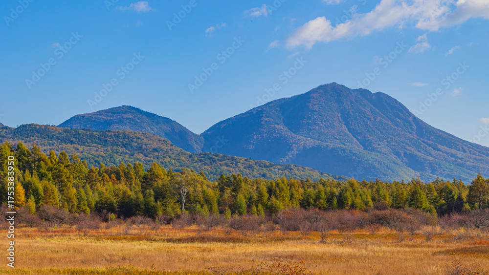 Fototapeta premium 小田代ヶ原の貴婦人 草紅葉と太郎山 絶景
