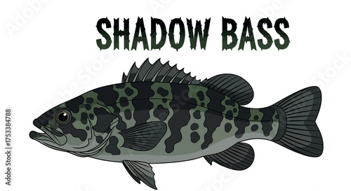 Vector Illustration of Shadow Bass Fish with Text