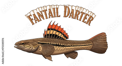 Fantail Darter Fish Illustration with Text Banner