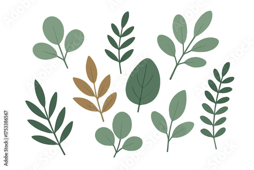 Assortment of stylized botanical leaves in muted green and brown tones