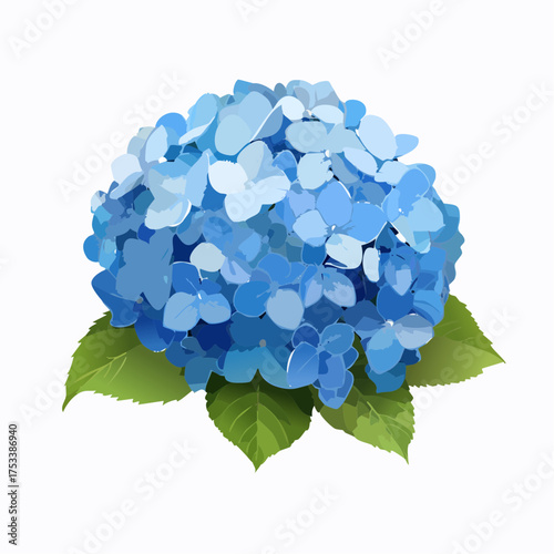 Beautiful Blue Hydrangea Flower with Green Leaves - A Delicate Floral Illustration