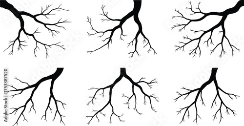 Black tree branch silhouette set, minimalist nature illustration, bare winter branch design, forest element vector, natural growth line art graphic