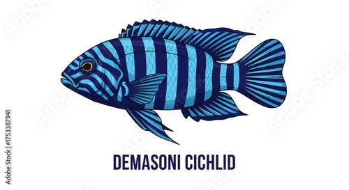 Demasoni Cichlid Fish Illustration on White Background