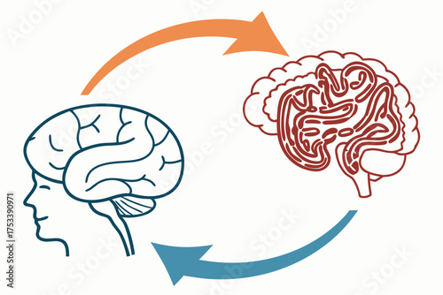 Illustration of Brain and Gut Communication in a Circular Diagram