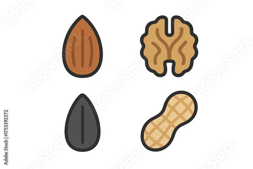Set of four common nuts and seeds symbols: almond, walnut, peanut, and sunflower seed