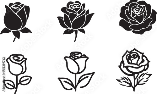 Black and white floral vector set with roses leaves and vintage decorative elements