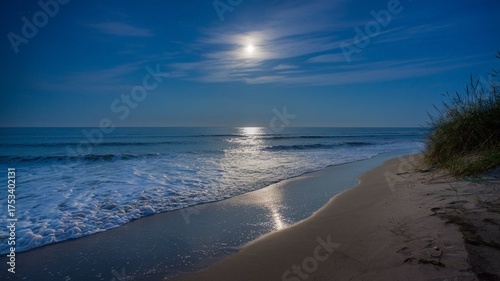 Capture the magic of the moonlight reflecting on the ocean waves along a sandy beach