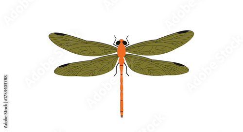 Discover the fascinating world of dragonflies and their amazing flight capabilities.