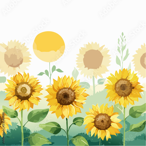 Sonnenblumenfeld im Sommerlicht