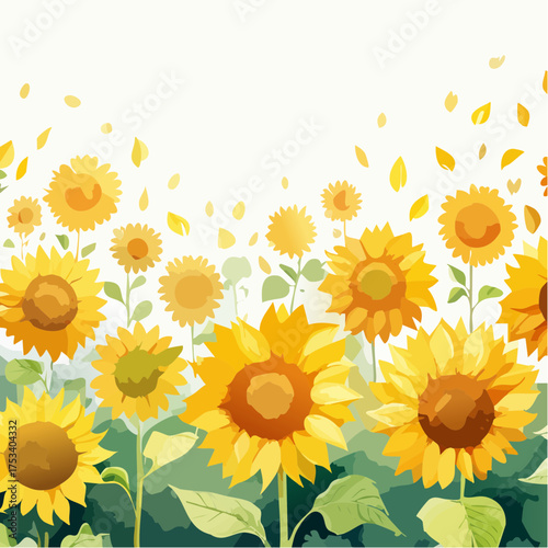 Sonnenblumenfeld im Sommerlicht