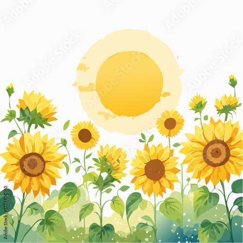 Sonnenblumenfeld im Sommerlicht