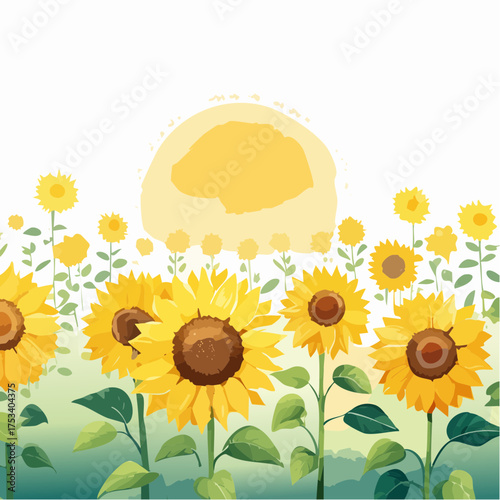 Sonnenblumenfeld im Sommerlicht