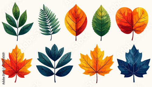 simple autumn leaves vector set