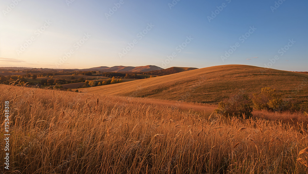 Fototapeta premium Golden Fields Under Sunset Sky, Nature's Splendor