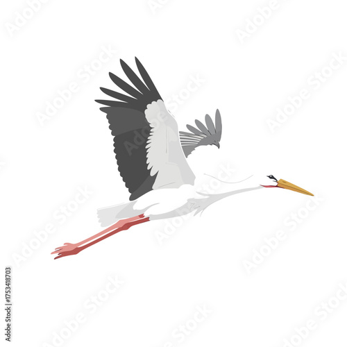Elegant Stork in Flight: Vector Illustration on White Background