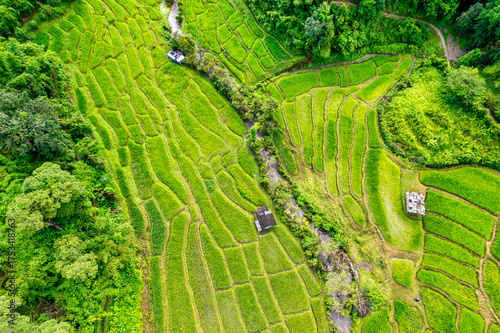 aerial view of green forest rice terraces in Thailand