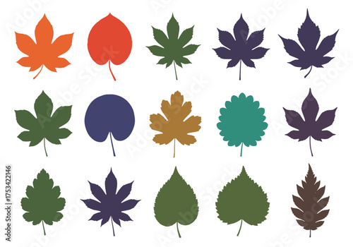 A collection of colorful and diverse autumn leaves in various shapes and sizes.
