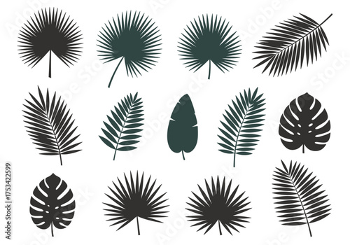 A collection of diverse tropical palm leaf silhouettes with intricate patterns and varying shapes ideal for botanical illustrations and design projects.