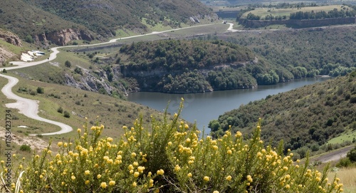 landscape with mountains and lake
