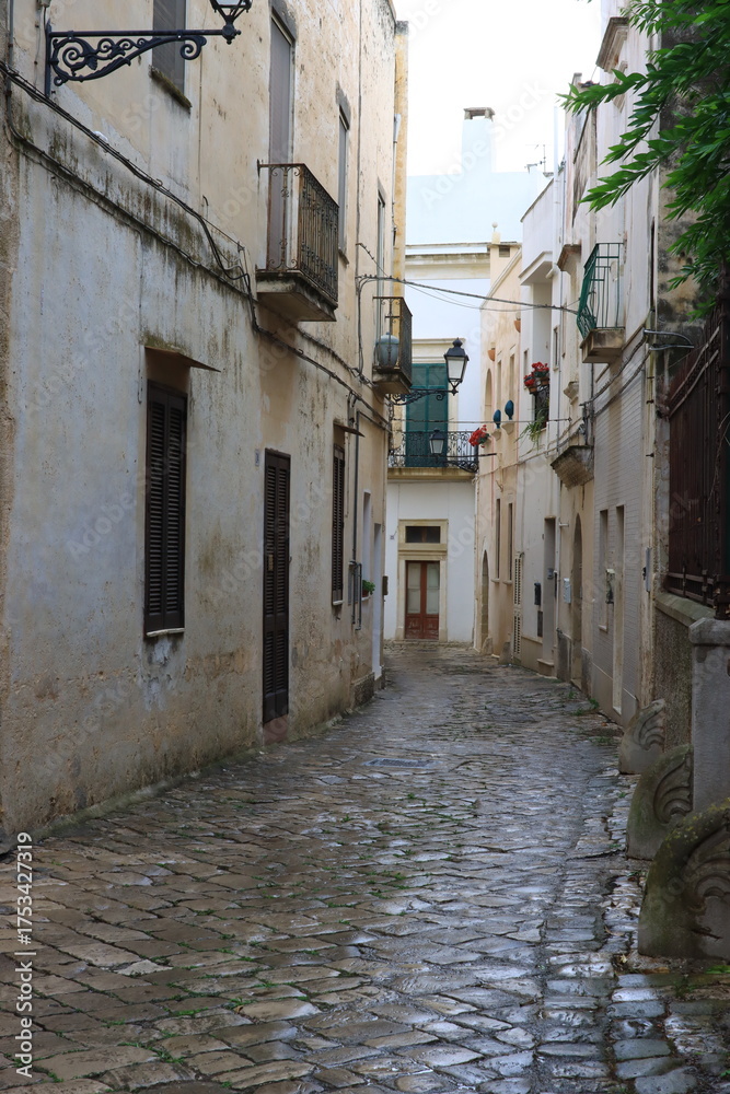 Fototapeta premium sous la pluie à Nardo
