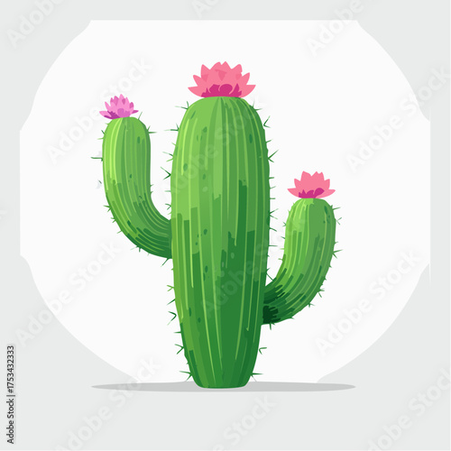 Kaktus mit rosafarbenen Blüten