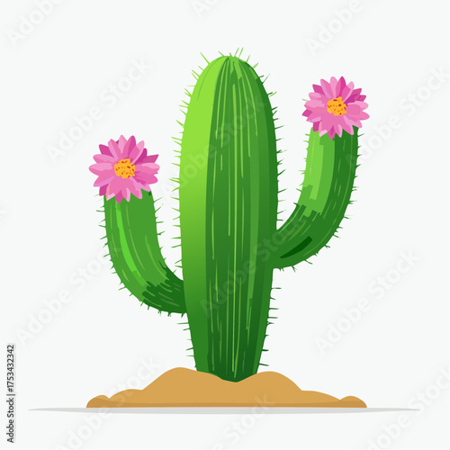 Kaktus mit rosafarbenen Blüten