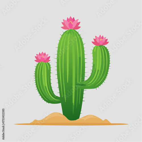 Kaktus mit rosafarbenen Blüten