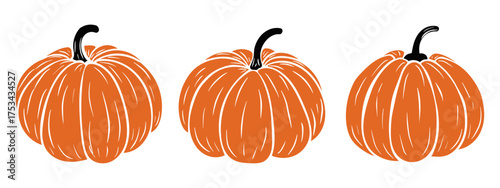 Halloween pumpkin on white background. Orange pumpkin silhouette. Pumpkins in various shapes. Pumpkin simple flat icons vector 