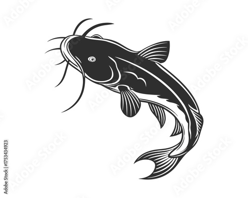 A detailed, dark silhouette of a catfish with prominent barbels and fins, rendered in a graphic, illustrative style