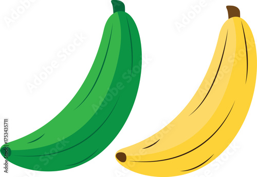 illustration of banana. Fresh banana in peel. sweet tropical food icon.ripe banana, green banana vector illustration.
