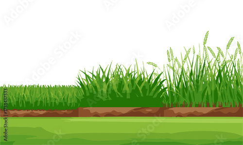  Landscape Grass Edge Collection — Natural Seamless Vector Set, Graphic Grass elements, easily editable.