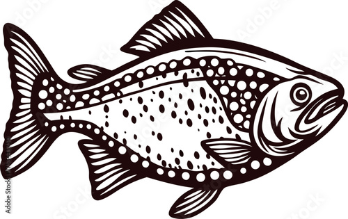Detailed engraving illustration of a freshwater trout isolated on white background