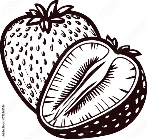Hand drawn vintage strawberry illustration with whole berry and cross section detailed engraving