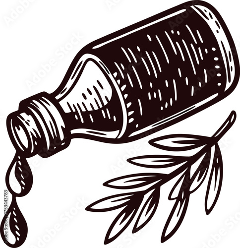Hand drawn illustration of vintage glass bottle with medicinal liquid and herbal sprig isolated on white background