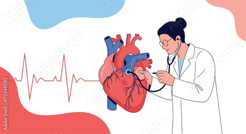A medical professional uses a stethoscope to examine a human heart illustration.