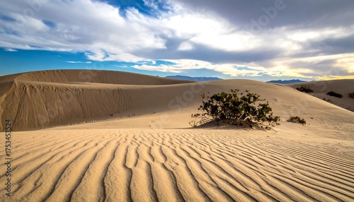 Fototapeta Naklejka Na Ścianę i Meble -  A sunlit desert landscape features rolling sand dunes with textured patterns. A lone bush anchors the composition against a cloudy sky