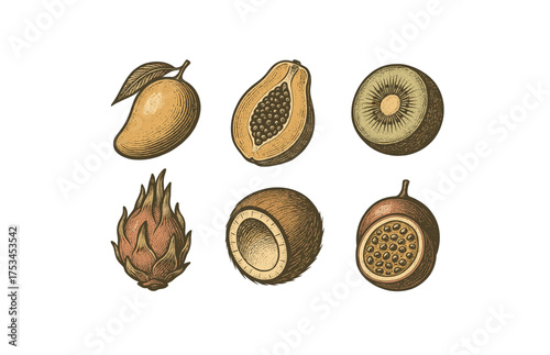 Vintage style illustration of tropical fruits: mango, papaya, kiwi, dragon fruit, coconut, passionfruit.Colorful icons set illustrated
