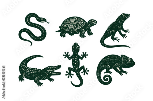 Vintage reptile illustrations: snake, turtle, lizard, crocodile, gecko, chameleon art.Colorful icons set illustrated