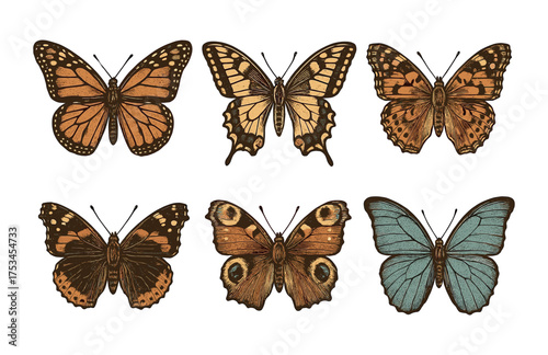 Vintage butterfly collection: colorful species displayed on white background.Colorful icons set illustrated