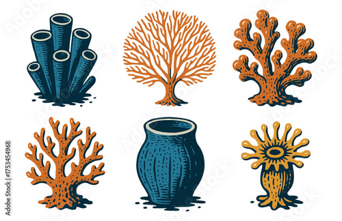 Hand-drawn colorful coral and sea sponge illustrations on white background.Colorful icons set illustrated
