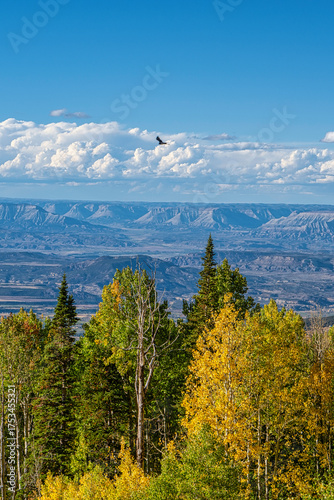 Grand Mesa Vista