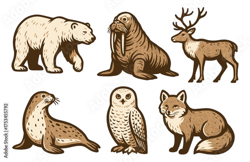 Arctic animals illustration: polar bear, walrus, reindeer, seal, owl, fox.Colorful icons set illustrated