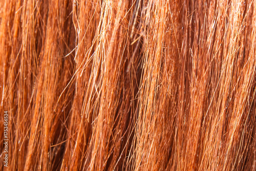 Close-up texture of horsehair in macro art