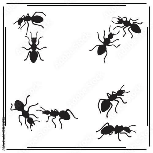 Ant Silhouettes Set - Black Ant Icons, Ant Shapes for Insects, Nature, Entomology, and Insect Design in Minimalist Style