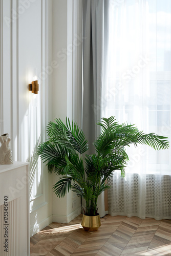 Wallpaper Mural A palm tree in a golden planter in a bright and spacious room. Style, luxury and minimalism, Torontodigital.ca