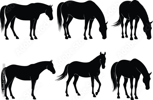 Black horse silhouettes collection, grazing, standing, walking, equine posture illustration, animal outline vector, farm livestock design, nature art graphic
