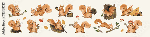 Set of cute squirrels. Mother and baby rodents. Funny forest animals eat nuts, gather pine cones into basket, have fun, run on trees. Flat isolated drawing vector illustrations on white background.