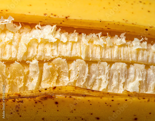Detailed Close-up Macro Texture of Ripe Organic Banana Fruit
