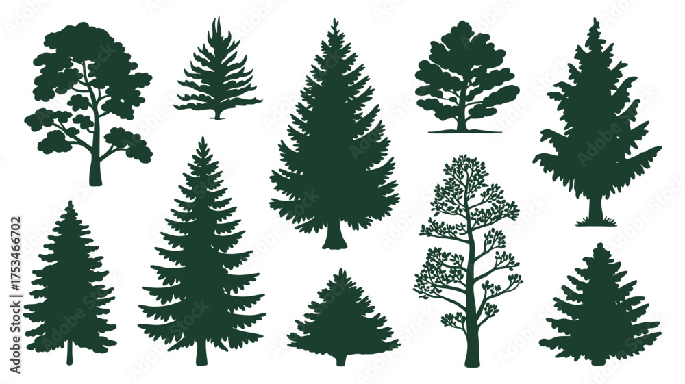 Obraz premium Collection of diverse evergreen tree silhouettes in dark green