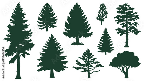 Collection of silhouetted evergreen trees in various shapes and sizes
